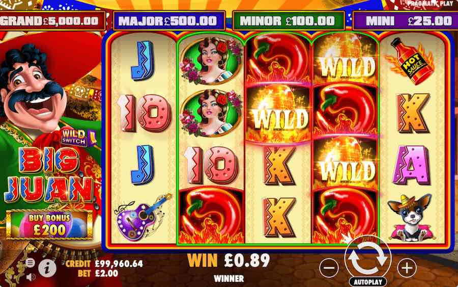 6 Or More Of The Same Symbol Landing In View On The Centre 3 Reels Will Cause Them All To Turn Into Wilds On Big Juan Slot