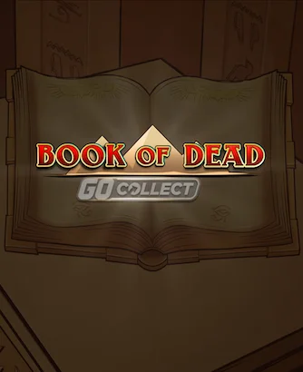 Demoslot x Play'n GO – Book of Dead -haastattelu&nbsp;
