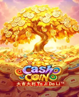 Cash Coin Slot 2