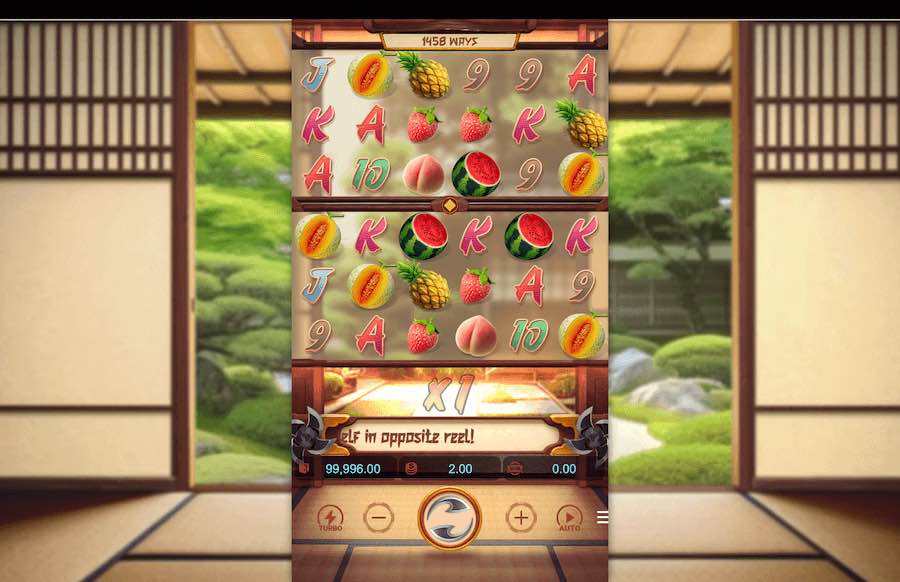 Ninja Raccoon Frenzy Base Game